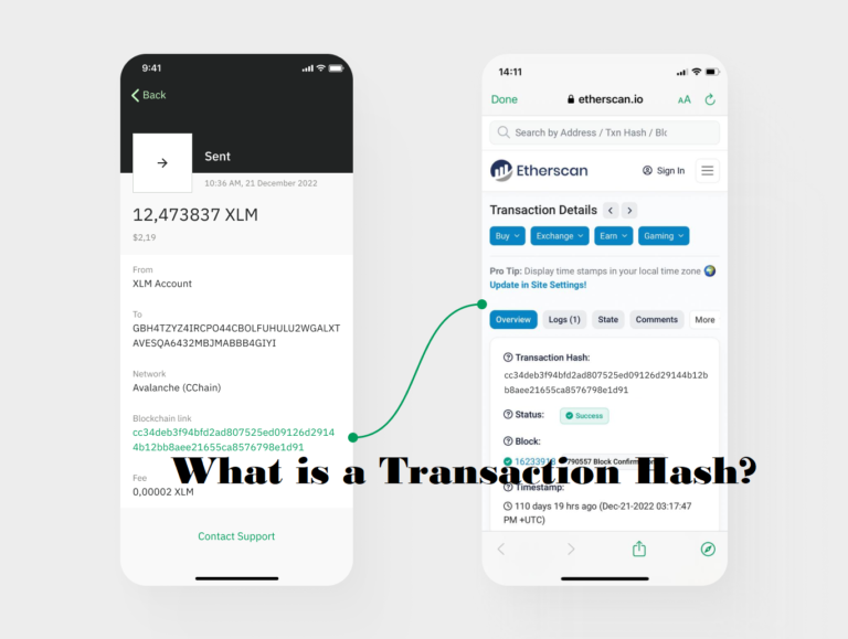 What is a Transaction Hash