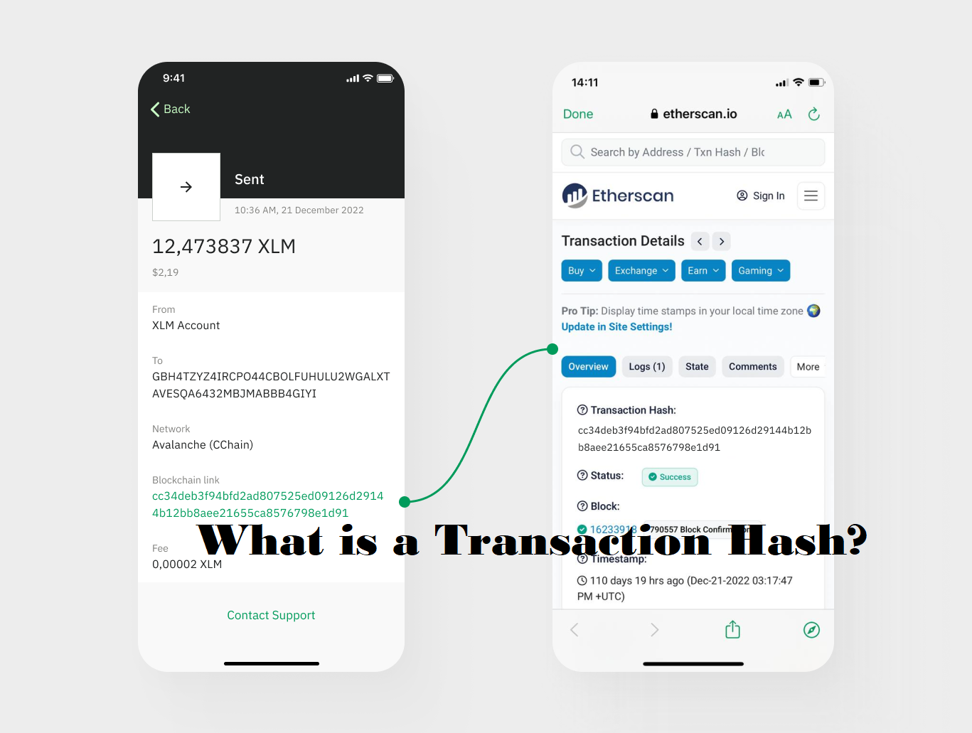 What is a Transaction Hash