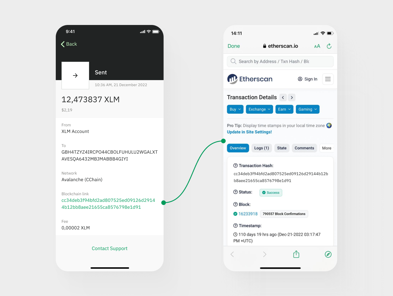 What is a Transaction Hash