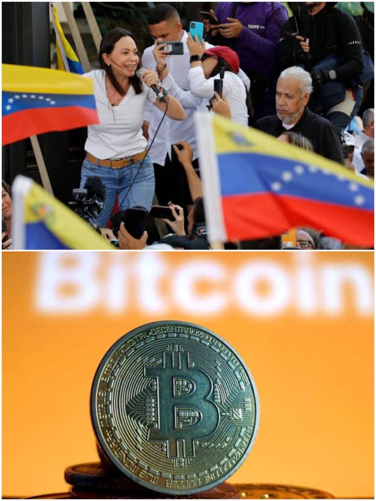 Proposes Bitcoin as the National Reserve Asset