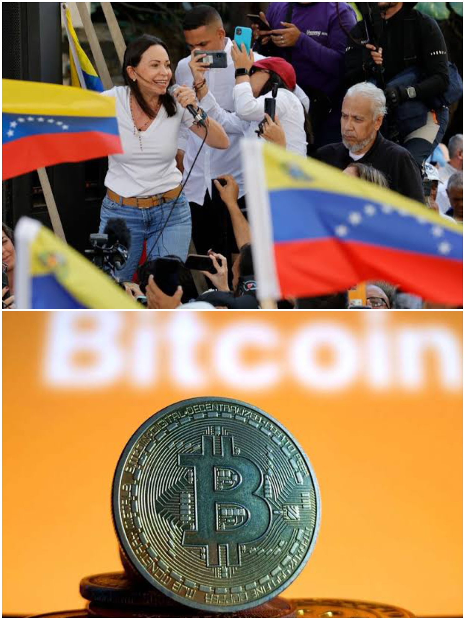Proposes Bitcoin as the National Reserve Asset